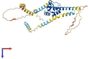 Synapse Associated Protein 1 (SYAP1) (AA 1-352) protein (His tag)