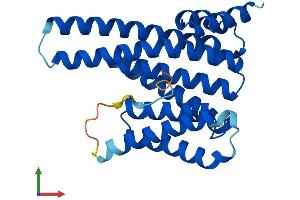 AlphaFold protein structure predicition of Mouse Recombinant Ywhae Protein, UniprotID P62259