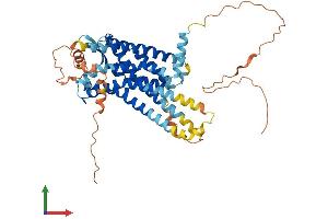 Protein Structure (PS) image for Relaxin 3 Receptor 1 (RXFP3) (AA 1-472) protein (His tag) (ABIN7558549)