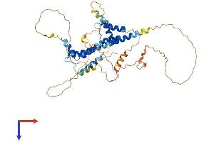 PKNOX1 Protein (AA 1-436) (His tag)
