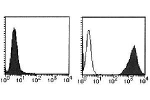 Flow Cytometry (FACS) image for anti-Interleukin 12 Receptor beta 1 (IL12RB1) antibody (PE) (ABIN1449167) (IL12RB1 Antikörper  (PE))