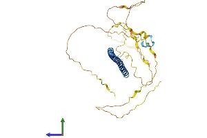 Protein Structure (PS) image for FOS-Like Antigen 2 (FOSL2) (AA 1-326) protein (His tag) (ABIN7563295)