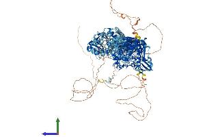 Protein Structure (PS) image for Topoisomerase (DNA) II alpha 170kDa (TOP2A) (AA 1-1531) protein (His tag) (ABIN7555788)