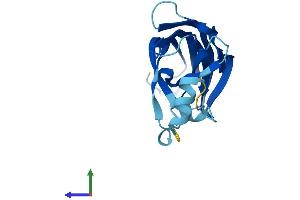 Protein Structure (PS) image for B9 Protein Domain 2 (B9D2) (AA 1-175) protein (His tag) (ABIN7552651)