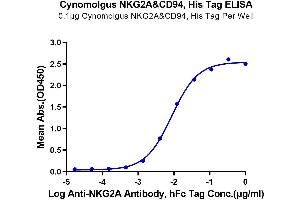 Immobilized Cynomolgus NKG2A&CD94, His Tag at 1 μg/mL (100 μL/well) on the plate.