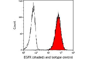 Flow Cytometry (FACS) image for anti-Epidermal Growth Factor Receptor (EGFR) (C-Term) antibody (ABIN7795642) (Rekombinanter EGFR Antikörper  (C-Term))