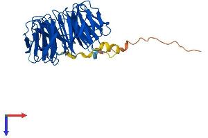 AlphaFold protein structure predicition of Human Recombinant WDR86 Protein, UniprotID Q86TI4