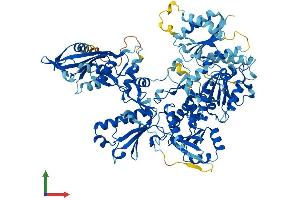 Protein Structure (PS) image for Schlafen Family Member 5 (SLFN5) (AA 1-891) protein (His tag) (ABIN7546100)