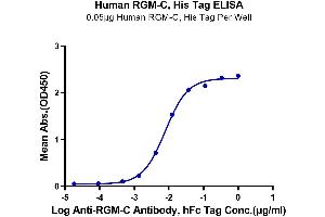 Immobilized Human RGM-C, His Tag at 0.