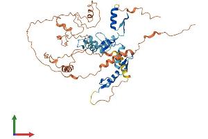 Protein Structure (PS) image for FEZ Family Zinc Finger 2 (FEZF2) (AA 1-459) protein (His tag) (ABIN7547632)