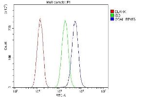 Flow Cytometry analysis of A549 cells using anti-ORAI1 antibody (ABIN7601852).