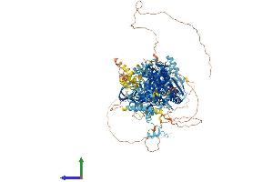 AlphaFold protein structure predicition of Mouse Recombinant Pnpla6 Protein, UniprotID Q3TRM4 (PNPLA6 Protein (AA 1-1355) (His tag))