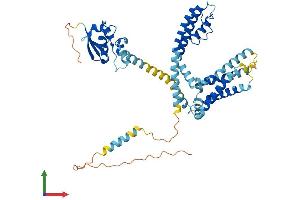 Protein Structure (PS) image for Potassium Voltage-Gated Channel, Delayed-Rectifier, Subfamily S, Member 3 (KCNS3) (AA 1-491) protein (His tag) (ABIN7558829)