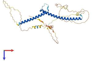 TFEC Protein (AA 1-347) (His tag)