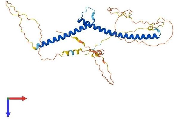 TFEC Protein (AA 1-347) (His tag)