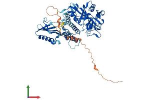 Protein Structure (PS) image for Poly (ADP-Ribose) Polymerase Family, Member 3 (PARP3) (AA 1-533) protein (His tag) (ABIN7554875)