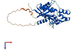 NMNAT1 Protein (AA 1-285) (His tag)