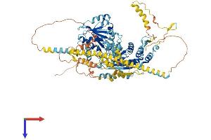 HELLS Protein (AA 1-838) (His tag)