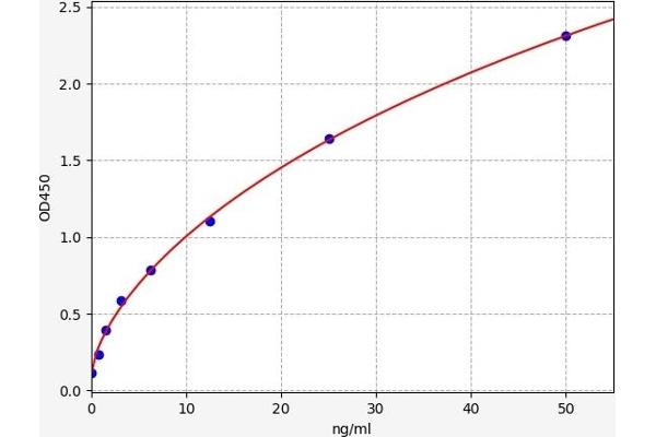 STAT5B ELISA Kit