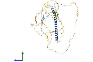 AlphaFold protein structure predicition of Human Recombinant TSC22D4 Protein, UniprotID Q9Y3Q8 (TSC22D4 Protein (AA 1-395) (His tag))