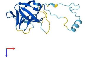 Protein Structure (PS) image for Endogenous Retrovirus Group K, Member 19 (ERVK-19) (AA 1-156) protein (His tag) (ABIN7545136)