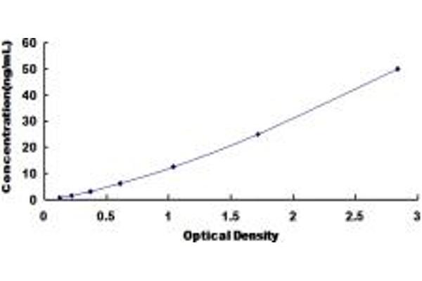 DPYS ELISA Kit