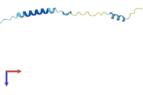 Mitochondrially Encoded ATP Synthase 8 (MT-ATP8) (AA 1-67) protein (Fc Tag)