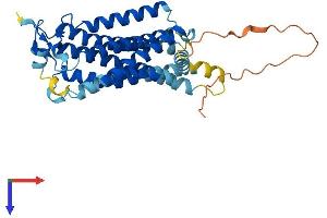 LPAR3 Protein (AA 1-353) (His tag)