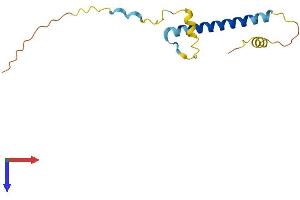 AlphaFold protein structure predicition of Mouse Recombinant Tsacc Protein, UniprotID Q9DA44