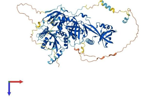 TSR1 Protein (AA 1-803) (His tag)