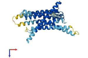 AlphaFold protein structure predicition of Mouse Recombinant Tas2r103 Protein, UniprotID Q9JKA3