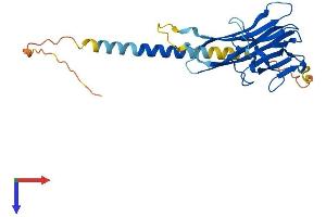 TNFSF15 Protein (AA 1-251) (His tag)
