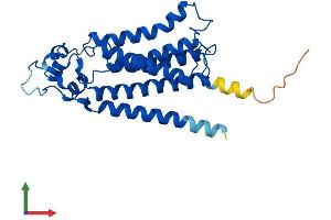 Protein Structure (PS) image for Phosphatidic Acid Phosphatase Type 2 Domain Containing 1B (PPAPDC1B) (AA 1-264) protein (His tag) (ABIN7550784)