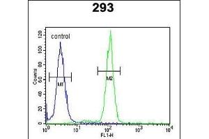 OST alpha Antibody (C-term) (ABIN653795 and ABIN2843077) flow cytometric analysis of 293 cells (right histogram) compared to a negative control cell (left histogram).