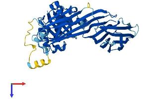 AP3M1 Protein (AA 1-418) (His tag)