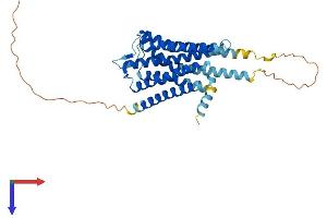 Serotonin Receptor 5A Protein (HTR5A) (AA 1-357) (His tag)