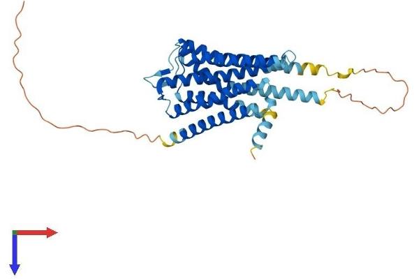 Serotonin Receptor 5A Protein (HTR5A) (AA 1-357) (His tag)