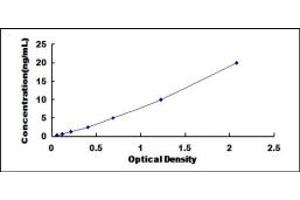 ITGA3 ELISA Kit