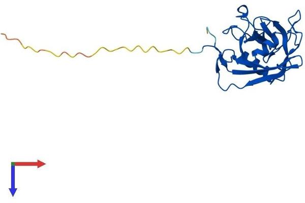 PPIC Protein (AA 1-212) (His tag)