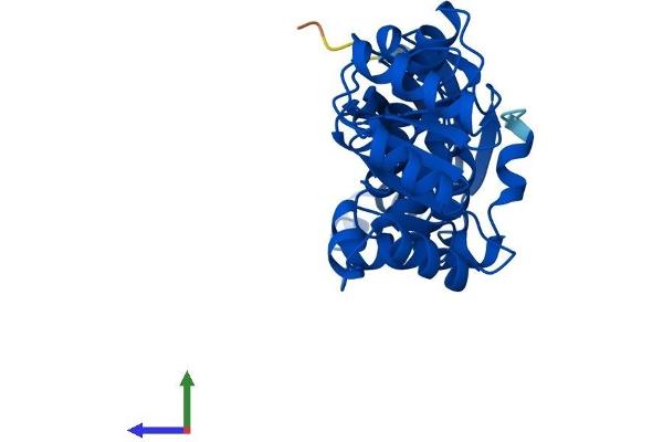 QPRT Protein (AA 1-299) (His tag)
