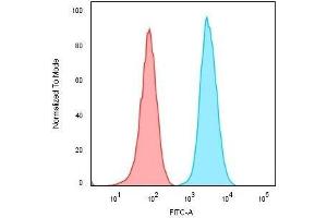 Flow Cytometric Analysis of Raji cells. (Rekombinanter CD74 Antikörper)