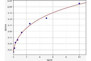 Prostaglandin E Synthase ELISA Kit