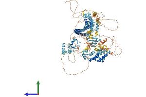 Protein Structure (PS) image for DAZ Interacting Protein 3, Zinc Finger (DZIP3) (AA 1-1208) protein (His tag) (ABIN7553758)