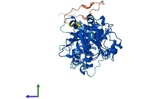 Protein Structure (PS) image for Jumonji Domain Containing 5 (JMJD5) (AA 1-414) protein (His tag) (ABIN7560726)