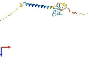 RNF24 Protein (AA 1-148) (His tag)