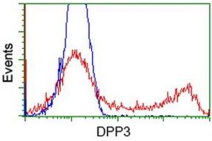 HEK293T cells transfected with either RC219658 overexpress plasmid (Red) or empty vector control plasmid (Blue) were immunostained by anti-DPP3 antibody (ABIN2454857), and then analyzed by flow cytometry. (DPP3 Antikörper)
