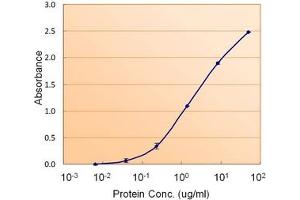 Image no. 1 for anti-Calnexin (CANX) (Internal Region) antibody (ABIN401659) (Calnexin Antikörper  (Internal Region))