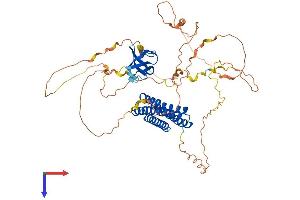 EFS Protein (AA 1-560) (His tag)