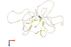 BCAS1 Protein (AA 1-633) (His tag)