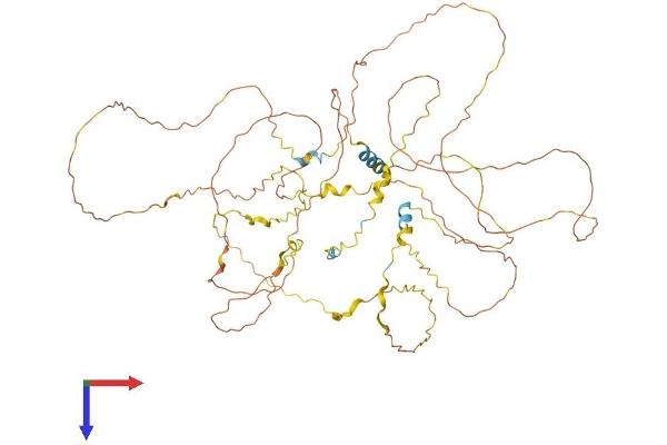 BCAS1 Protein (AA 1-633) (His tag)